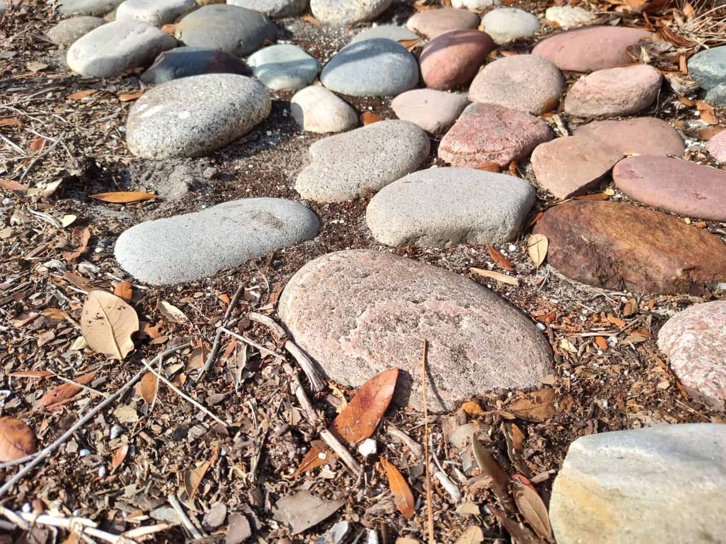 Moto Edge Camera Sample 5