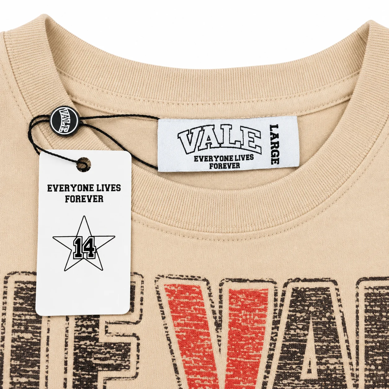 Vale Forever “Vale Valley 2000” Tee Beige - Image 3