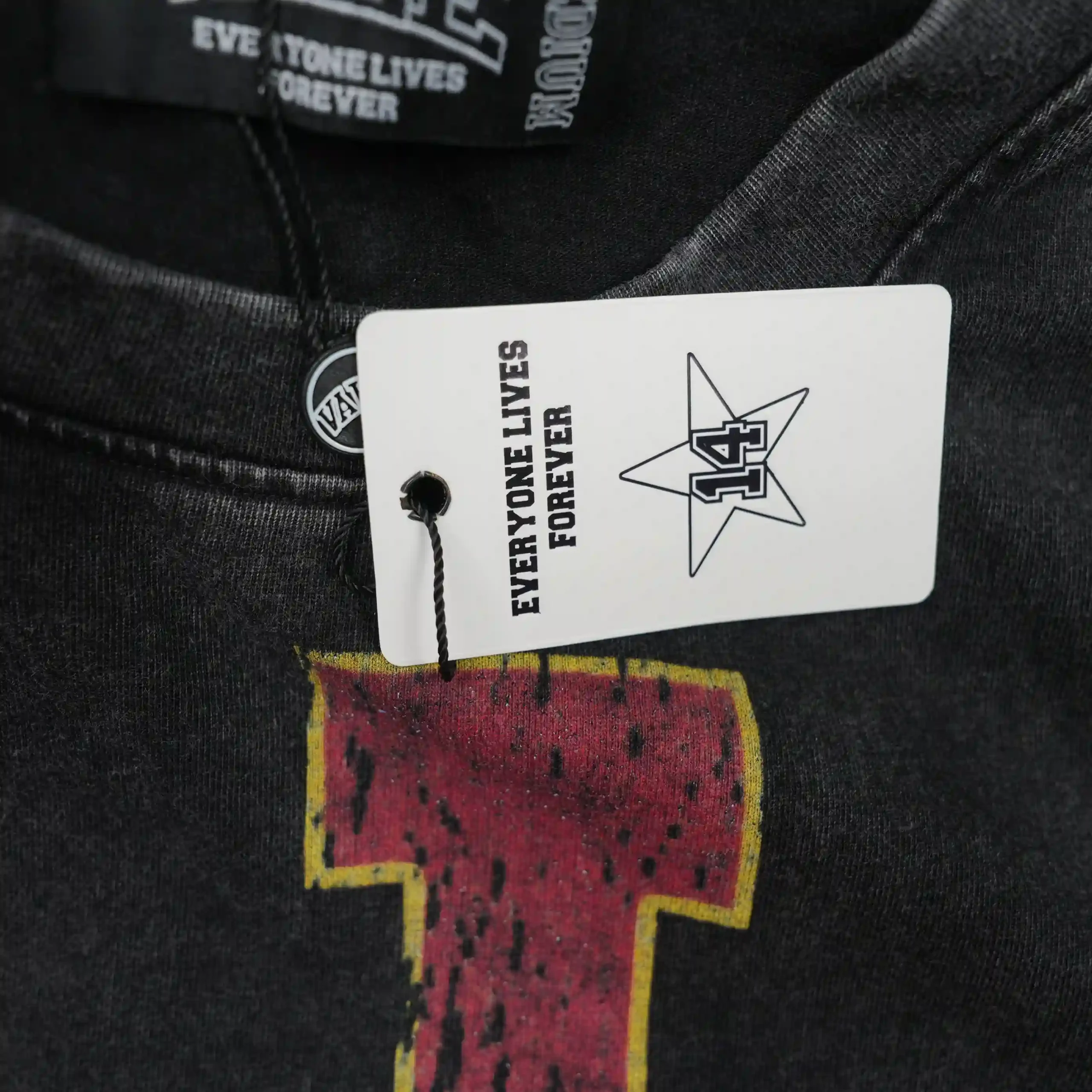 Athletic Dinosaur Tee Vintage Black - Image 5