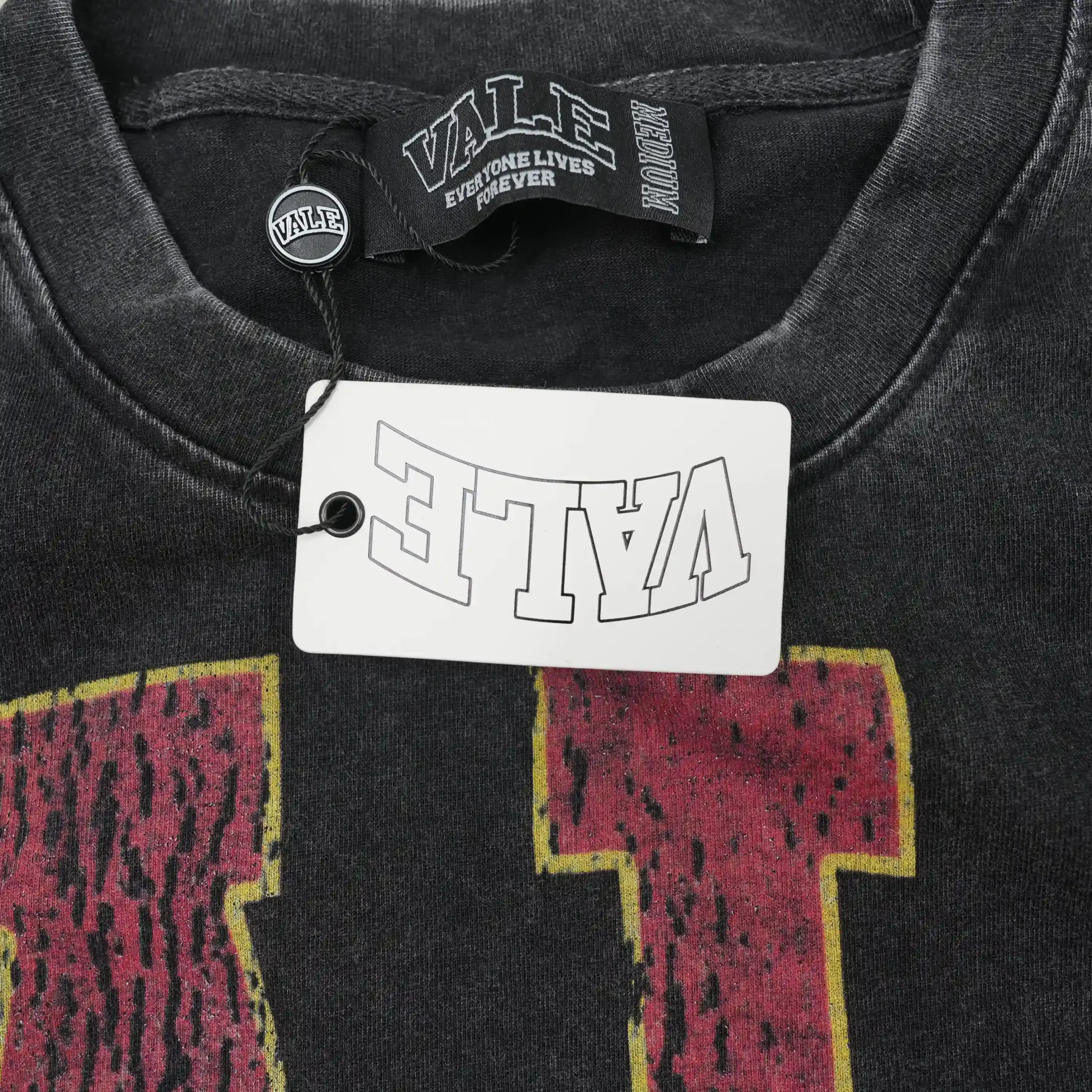 Athletic Dinosaur Tee Vintage Black - Image 6
