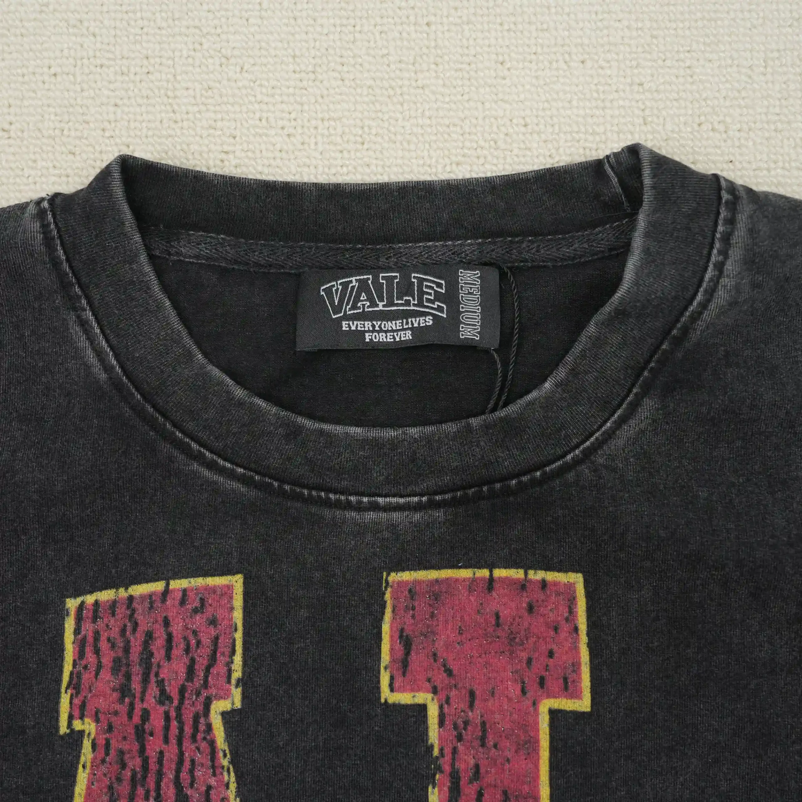 Athletic Dinosaur Tee Vintage Black - Image 9